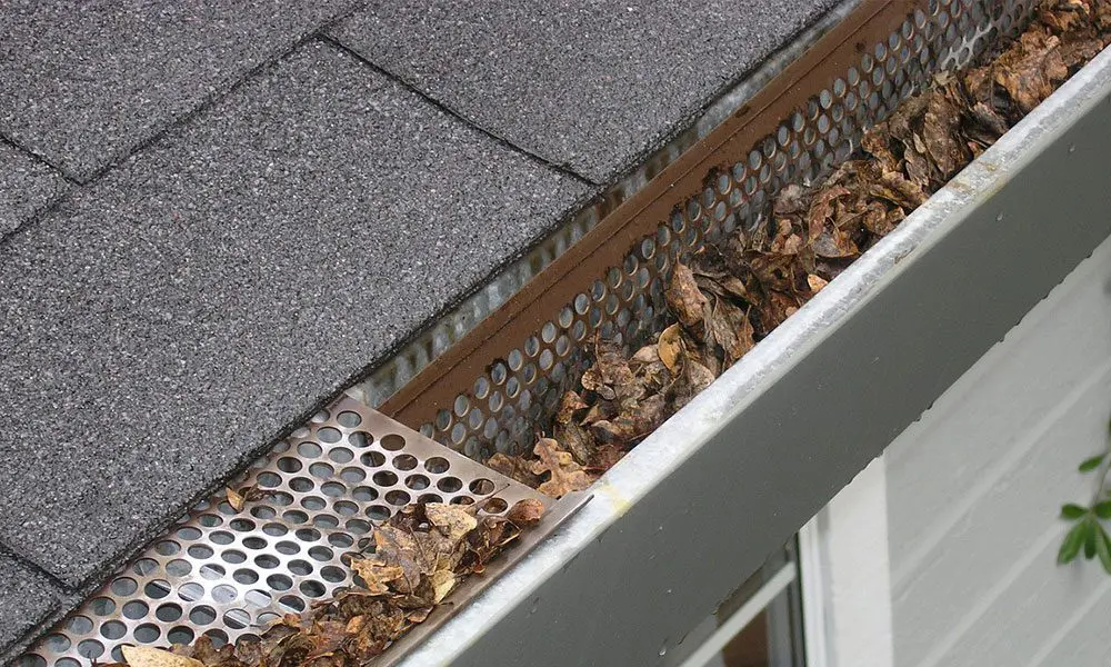 clogged gutters