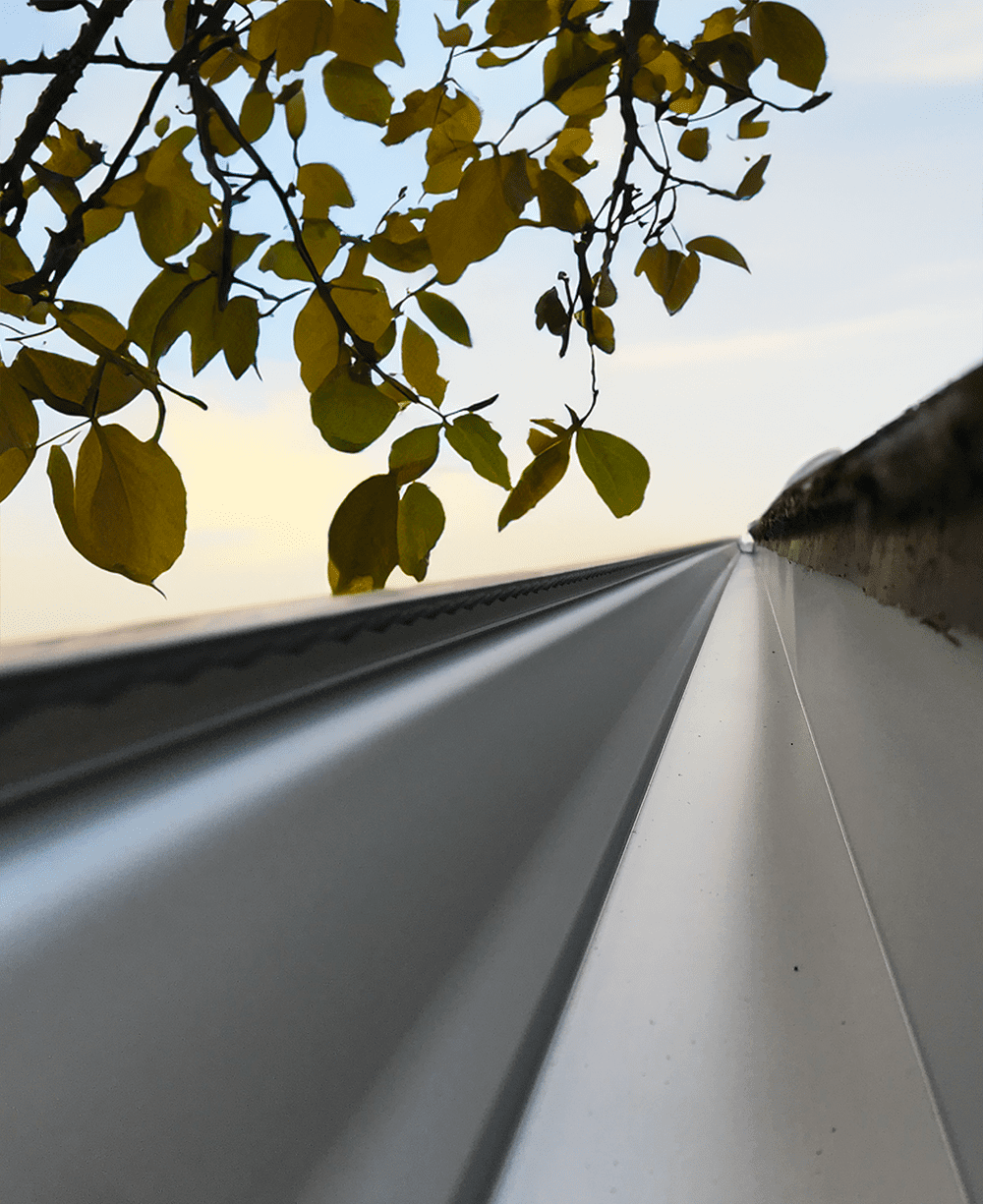 Inside of a seamless gutter on a Chicago home